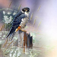 Схема вышивки «№1881206»