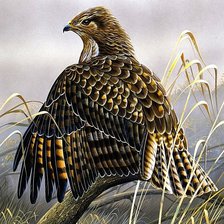 Схема вышивки «№1881209»