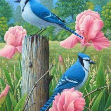 Схема вышивки «Птички»