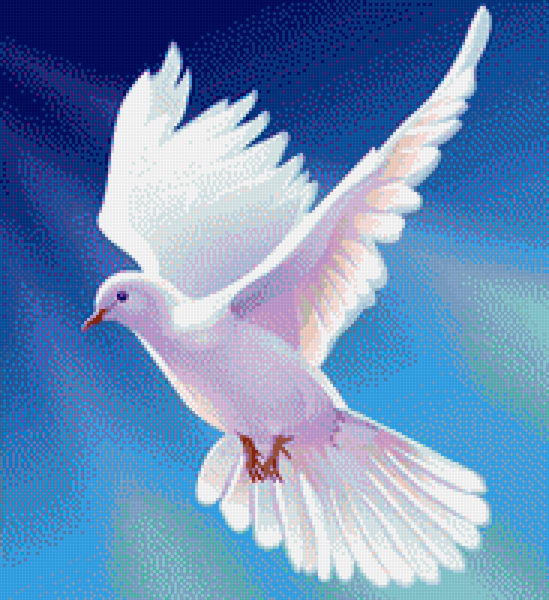 Голубь - голубь - предпросмотр