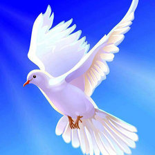 Схема вышивки «Голубь»