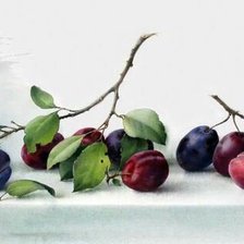 Схема вышивки «Сливы»