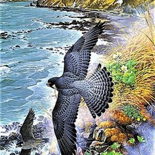 Схема вышивки «№1881555»