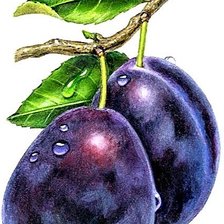 Схема вышивки «№1881568»