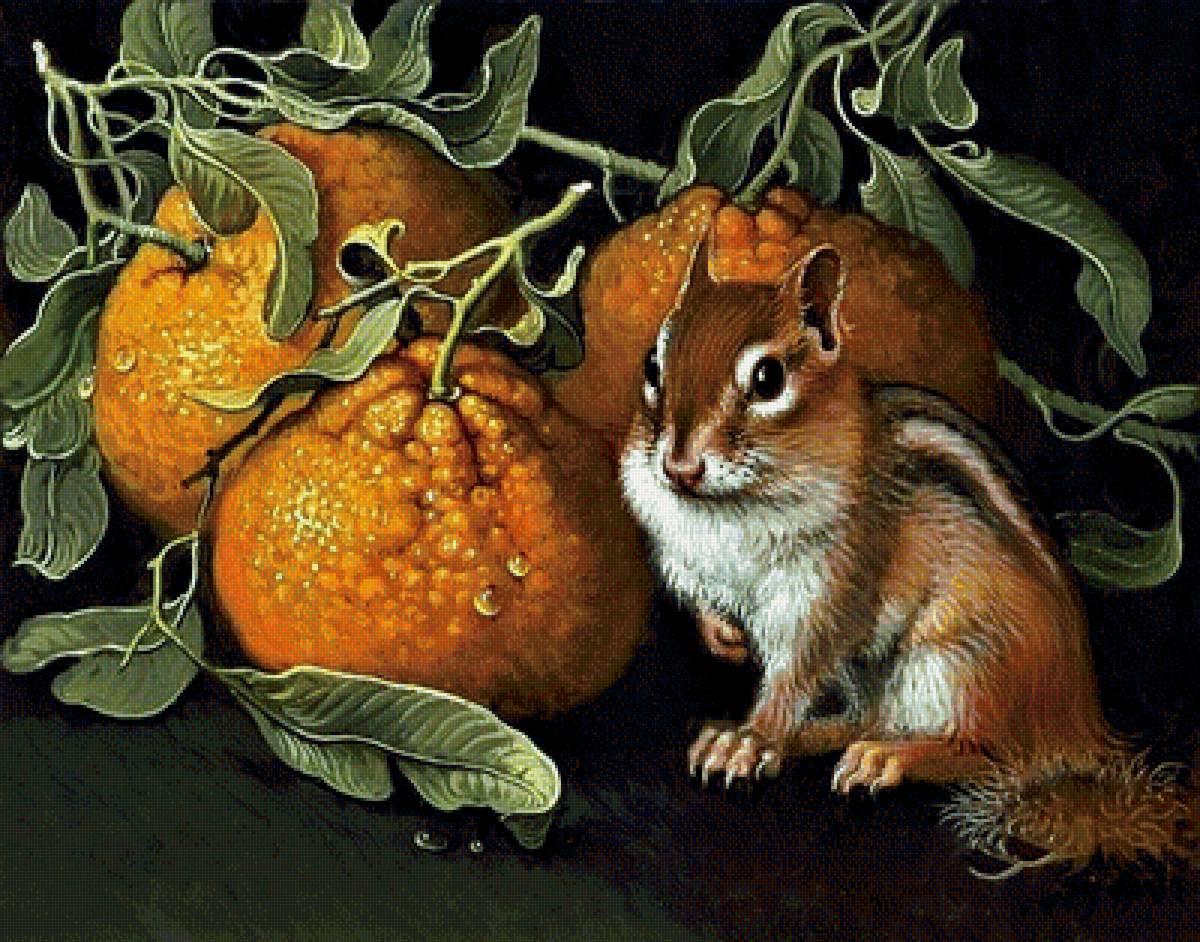 №1881575 - бурундук, натюрморт - предпросмотр