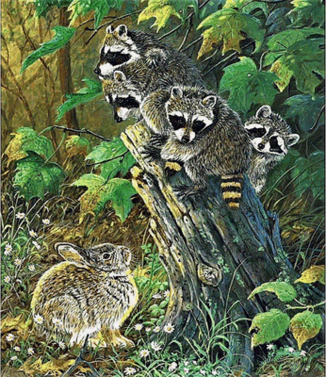 №1881584 - пейзаж, еноты - предпросмотр