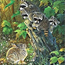 Схема вышивки «№1881584»