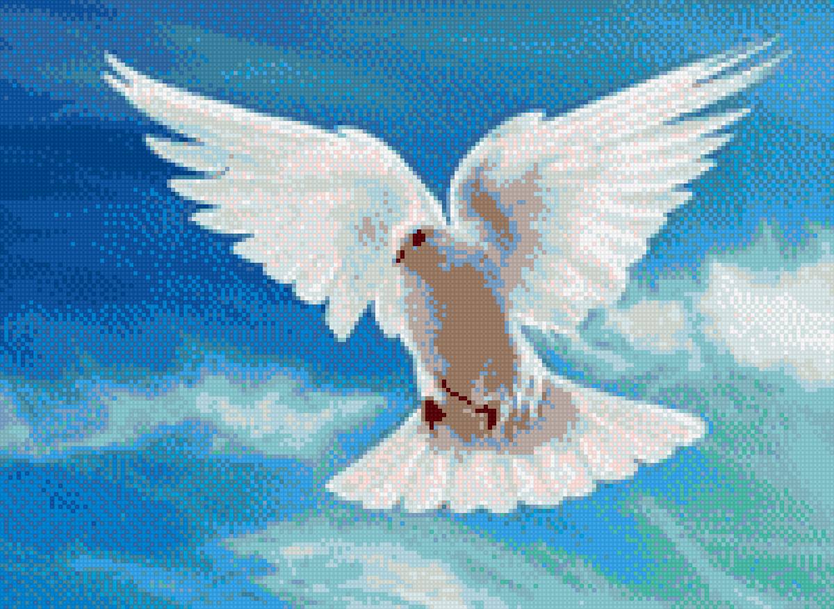 Голубь - голубь - предпросмотр