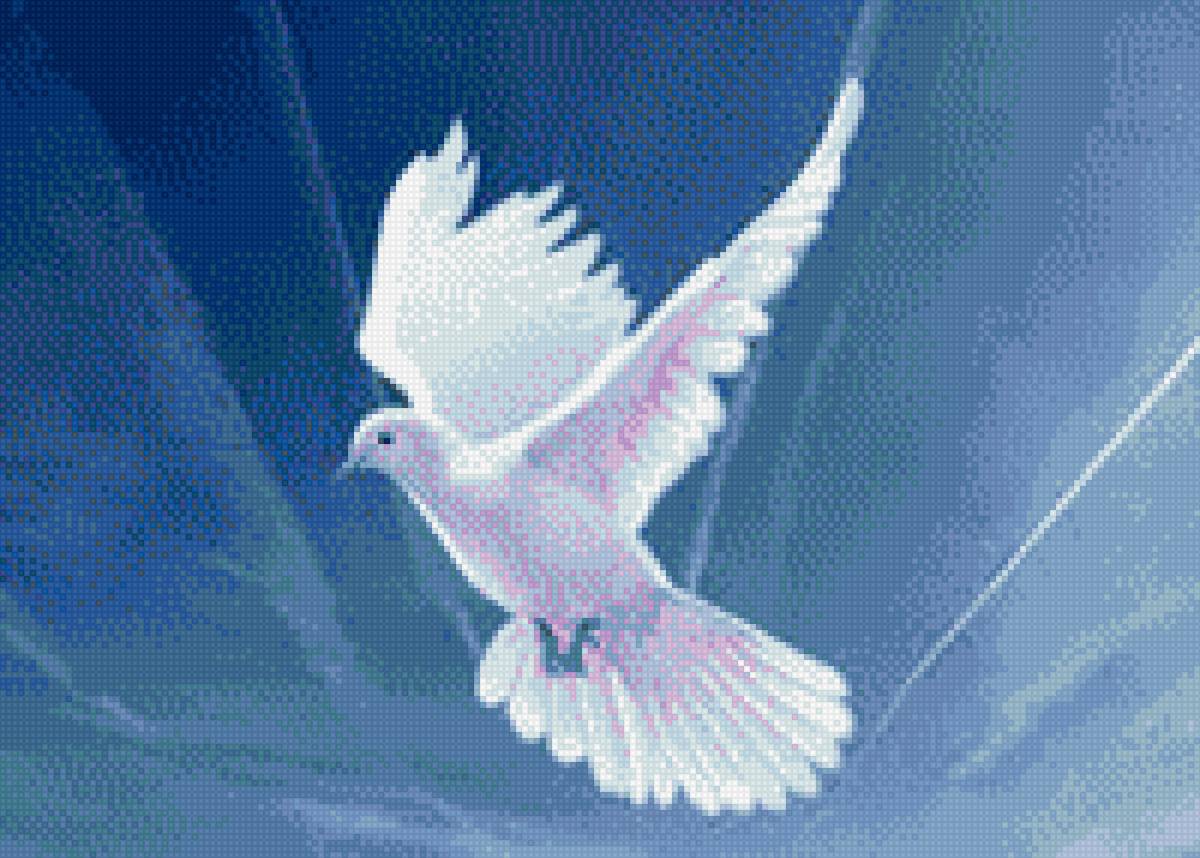 Голубь - голубь - предпросмотр