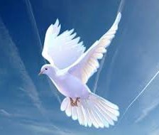 Схема вышивки «Голубь»