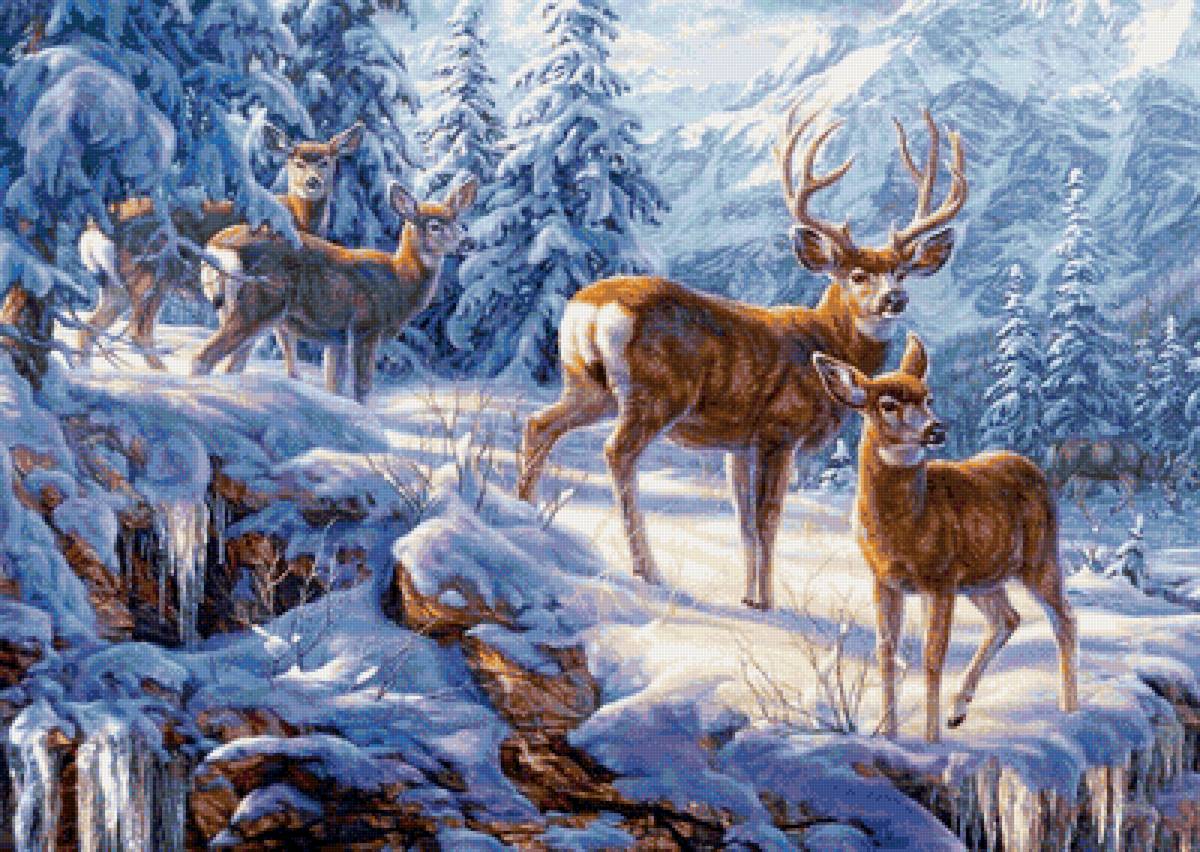 дикие - предпросмотр