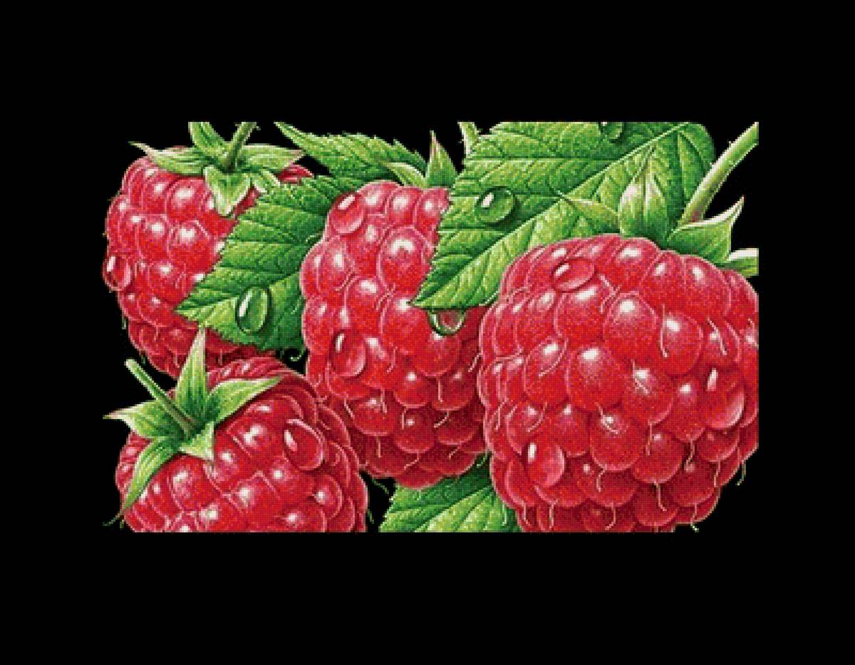 Малина - на черном, для кухни, ягоды - предпросмотр