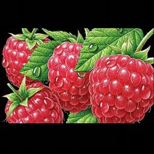 Схема вышивки «Малина»