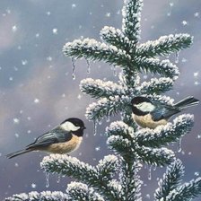 Схема вышивки «птицы»