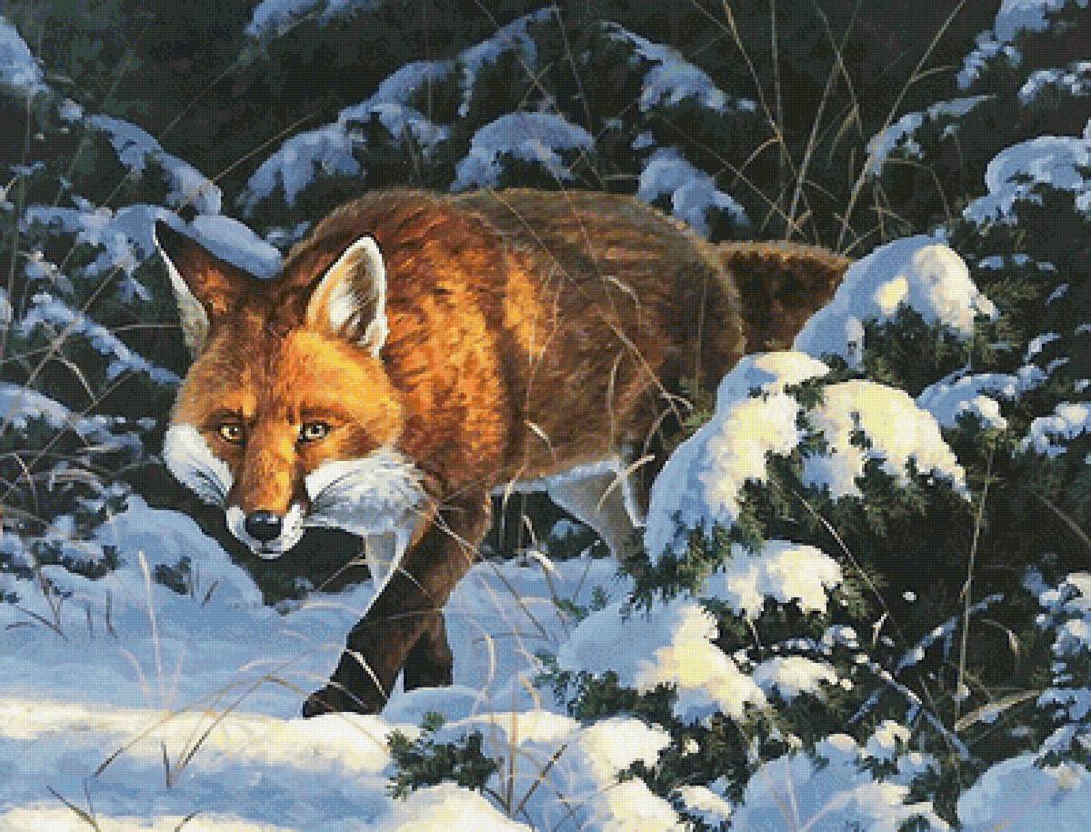 лиса - мир животных - предпросмотр