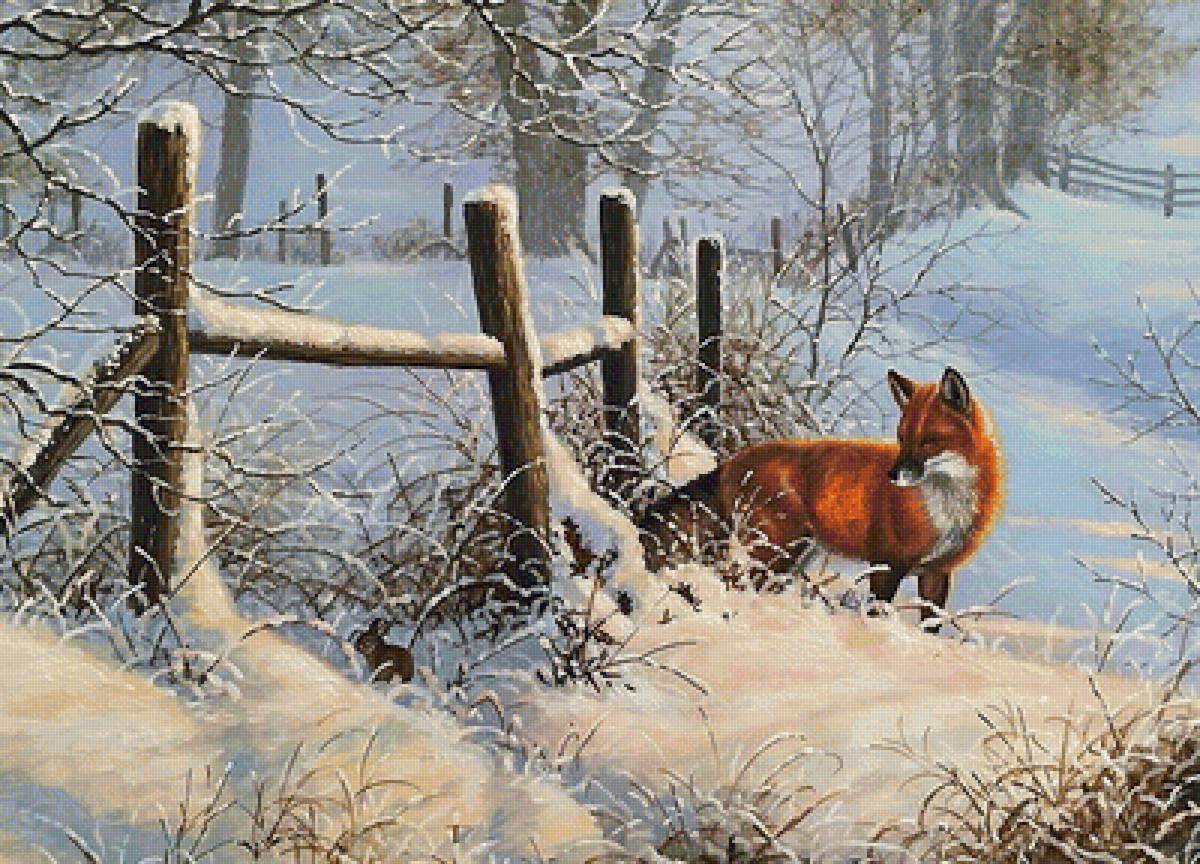 лиса и заяц - мир животных - предпросмотр