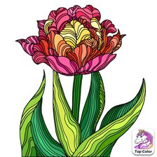 Схема вышивки «Тюльпан»