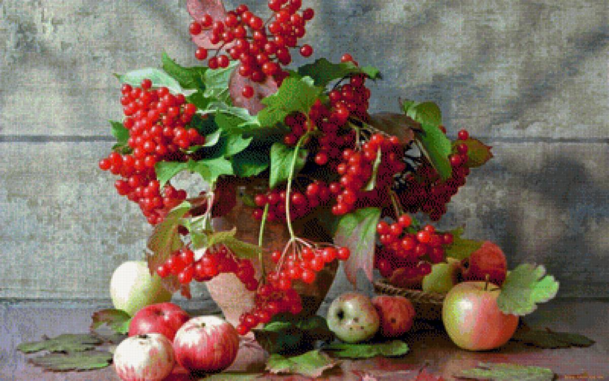 Натюрморт с калиной - калина, яблоки, натюрморт, фрукты, ягоды - предпросмотр