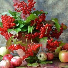 Схема вышивки «Натюрморт с калиной»