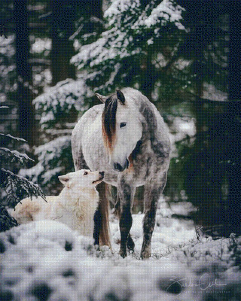 Лошадь и собака - собака, лошадь, нежность, конь, красиво, дружба - предпросмотр
