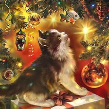 Мечта котёнка