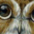 Предпросмотр схемы вышивки «Совы» (№1882206)