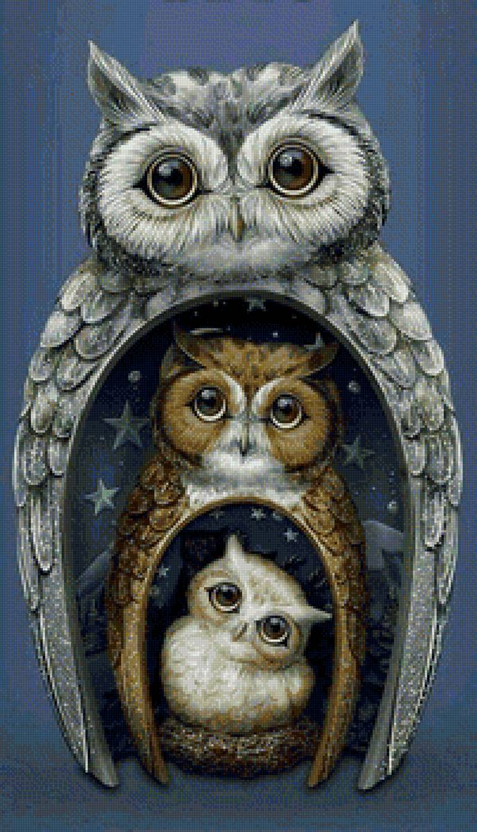 Совы - сова - предпросмотр