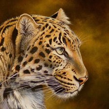 Схема вышивки «Леопард»