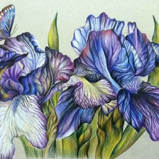 Схема вышивки «Ирисы и бабочка»