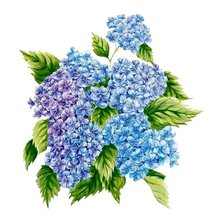 Схема вышивки «Гортензия»