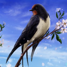 Схема вышивки «Птичка на ветке»