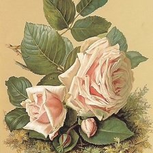 Схема вышивки «№1882586»