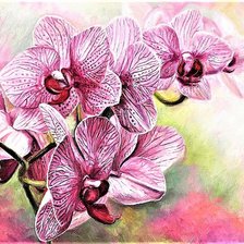 Схема вышивки «№1882833»