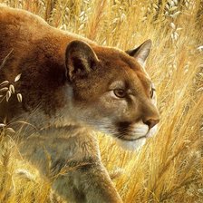 Схема вышивки «Пума»