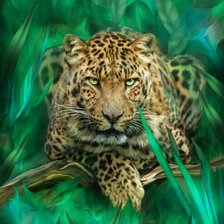 Схема вышивки «Леопард»