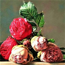 Схема вышивки «№1883126»