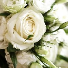 Схема вышивки «розы»