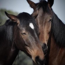 Схема вышивки «№1883243»