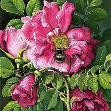 Схема вышивки «№1883246»