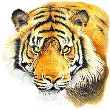 Схема вышивки «№1883276»