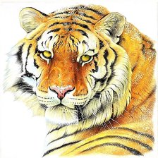 Схема вышивки «№1883278»