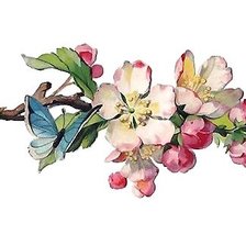 Схема вышивки «бабочка»