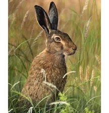 Схема вышивки «заяц»