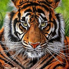 Схема вышивки «№1883385»