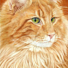 Схема вышивки «Котик»