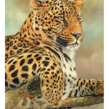 Схема вышивки «Леопард»