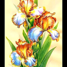 Схема вышивки «Серия "Ирисы"»