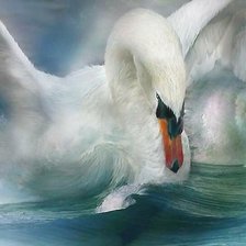 Схема вышивки «лебедь»