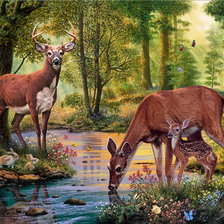 Схема вышивки «Олени у ручья»