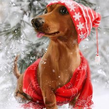 Схема вышивки «Такса в шапочке»